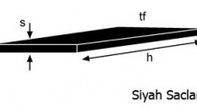 Siyah Saçlar